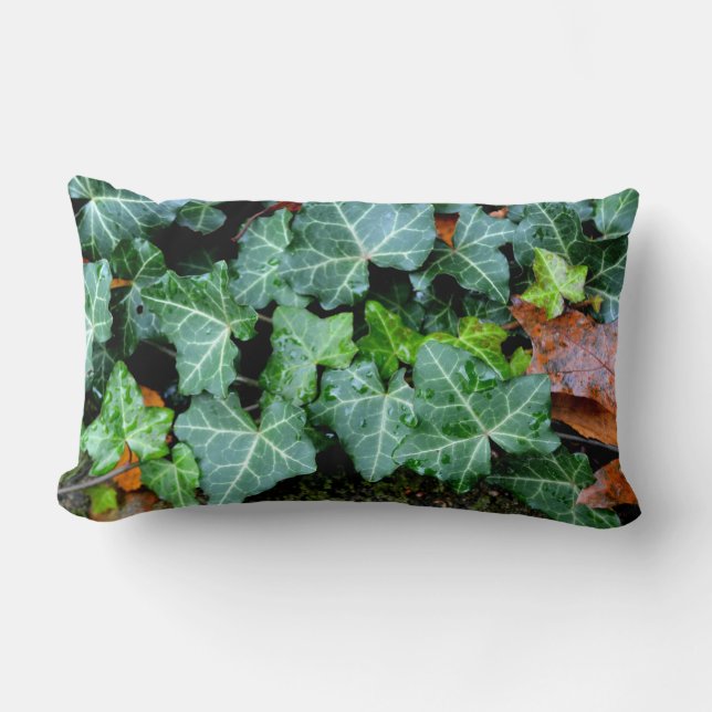 Veldstenen, vijg, tuinmuur, botanisch decor kussen (Voorkant)