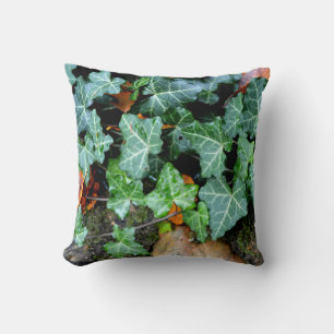 Veldstenen, vijg, tuinmuur, botanisch decor kussen