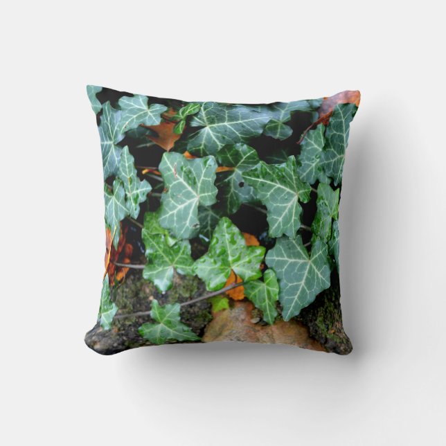 Veldstenen, vijg, tuinmuur, botanisch decor kussen (Voorkant)