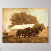 Veldwerk Poster (Voorkant)