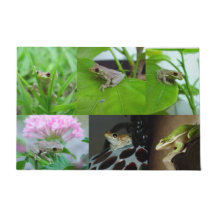 Vele baby boomkikkers