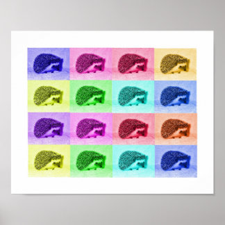 Vele Hues van egel Poster