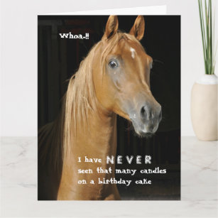 De Grappige Van Het Paard Verjaardagskaarten Zazzle Nl