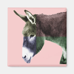 Vele kleuren bravo - Kleur me Wilde Dierenvrienden Magneet