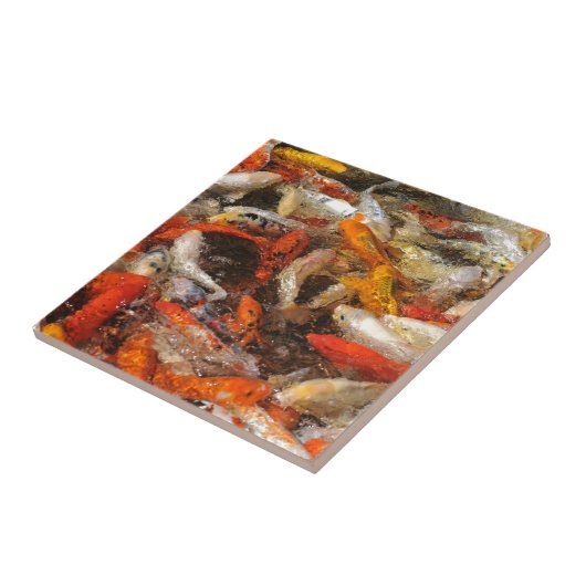 Vele koi carp multicolor tegeltje (Zijkant)