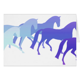 Vele paarden (blauwe plekken)