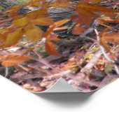 Vele Poster van Boomstammen (Hoek)