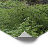 Veliki Slap (Waterfall) Plitvice Lakes National Poster (Hoek)