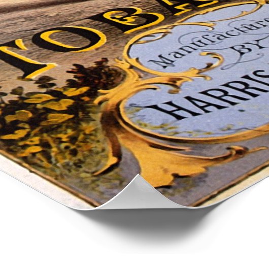 Velocipede Poster (Hoek)