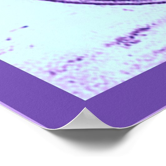 Velocipede ~  tabakslabel poster (Hoek)