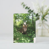 Velociraptor Briefkaart (Staand voorkant)