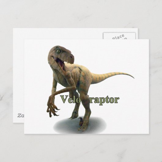 Velociraptor Briefkaart (Voorkant / Achterkant)