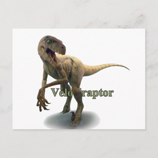 Velociraptor Briefkaart (Voorkant)