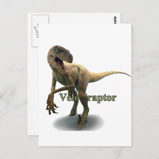 Velociraptor Briefkaart (Voorkant / Achterkant)