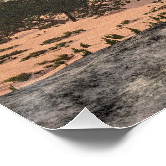 Velociraptor dinosaur - 3D rendering Perfect Poster (Hoek)