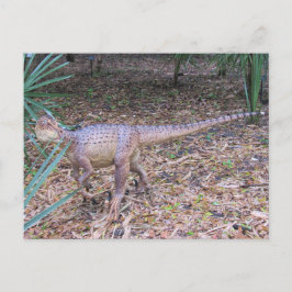 Velociraptor - Dinosaur - Leerkaart Briefkaart