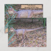 Velociraptor - Dinosaur - Leerkaart Briefkaart (Voorkant / Achterkant)