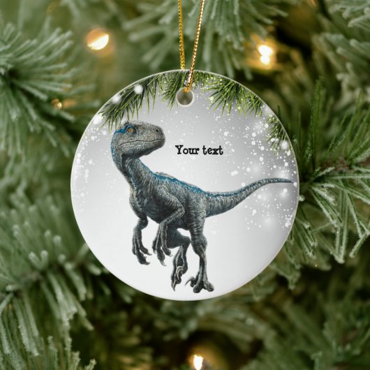 Velociraptor Gift for Dinosaurs Lover adult Kinder Keramisch Ornament (Boom)
