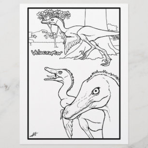 Velociraptor - Kleurplaat.