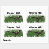 Velociraptor Rechthoekige Sticker (Vel)