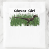 Velociraptor Rechthoekige Sticker (Tas)