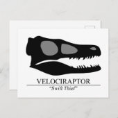 Velociraptor Skull Briefkaart (Voorkant / Achterkant)