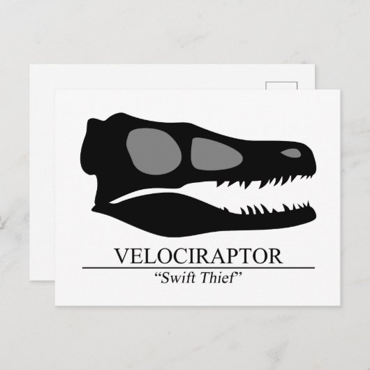 Velociraptor Skull Briefkaart (Voorkant / Achterkant)
