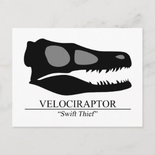 Velociraptor Skull Briefkaart