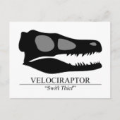 Velociraptor Skull Briefkaart (Voorkant)