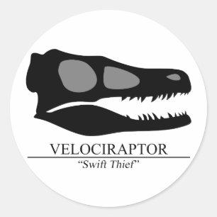 Velociraptor Skull Ronde Sticker