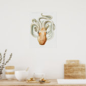 Velodona octopus door Carl Chun Poster (Keuken)