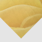 Veloura Zon Tissuepapier (Detail)