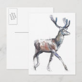 Velvet 2006 briefkaart (Voorkant / Achterkant)