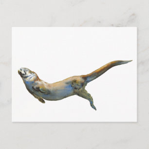 Velvet 2014 briefkaart