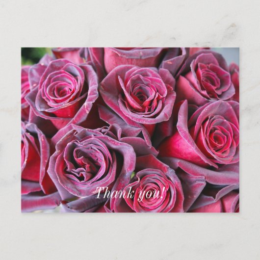 Velvet Beauty Dank je Briefkaart (Voorkant)