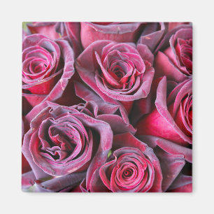 Velvet Beauty Magneet