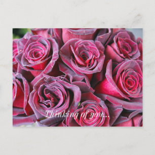 Velvet Beauty Thinking of You Briefkaart