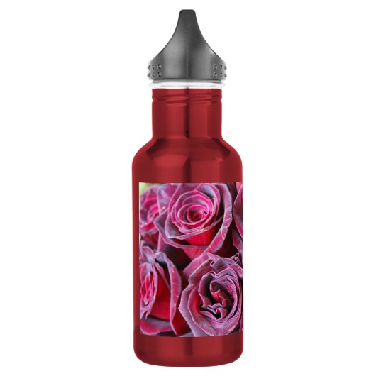 Velvet Beauty Water Fles (Links)