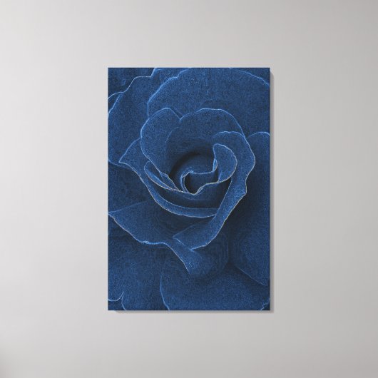 Velvet blue roos canvas afdruk (Voorkant)