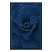 Velvet blue roos perfect poster (Voorkant)