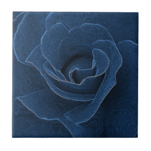 Velvet blue roos tegeltje