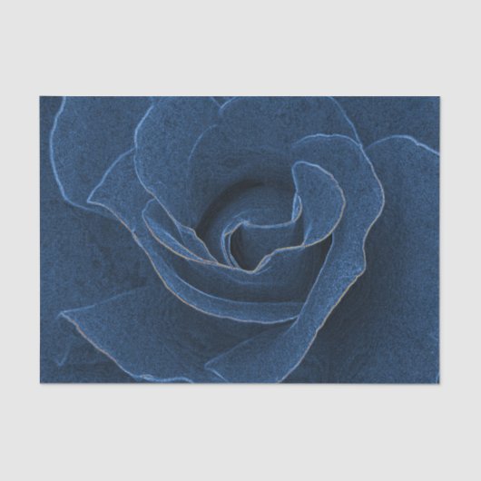 Velvet blue roos tissuepapier (Voorkant)