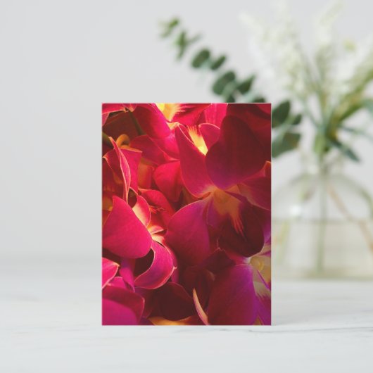 Velvet Briefkaart (Staand voorkant)