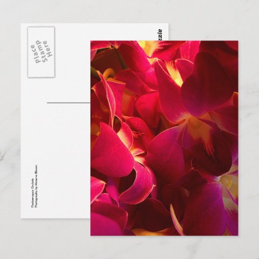 Velvet Briefkaart (Voorkant / Achterkant)