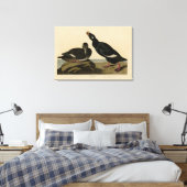 Velvet Duck - van Audubon's Birds of America Canvas Afdruk (Insitu (Slaapkamer))
