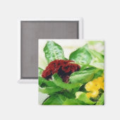 Velvet Floral Magneet (Voorkant / Achterkant)