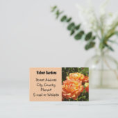 Velvet Gardens - Roos Visitekaartje (Staand voorkant)