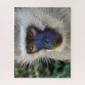 Velvet Monkey. Legpuzzel (Verticaal)