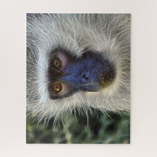 Velvet Monkey. Legpuzzel (Verticaal)