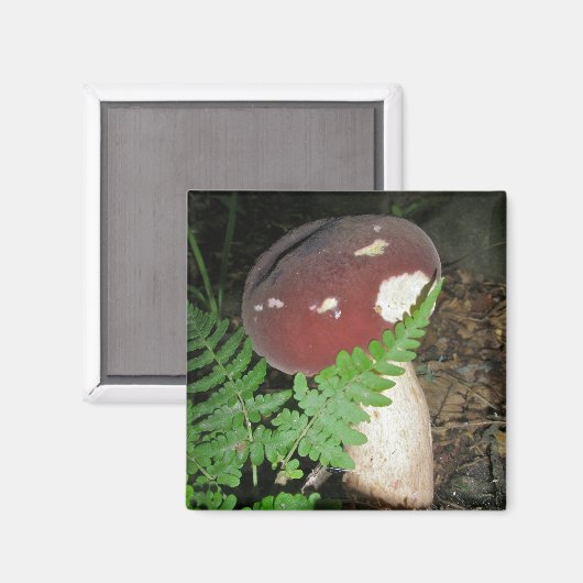 Velvet Mushroom Magnet (Voorkant / Achterkant)